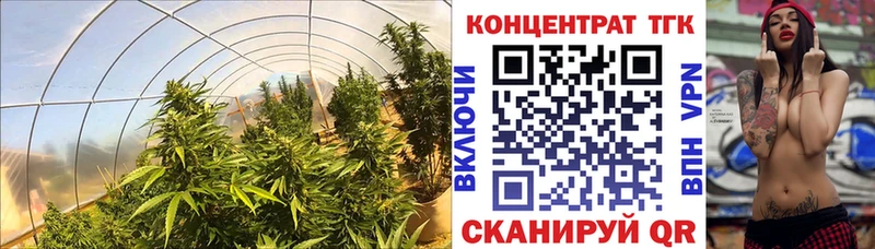 Купить где  Мышкин  ТГК гашишное масло 